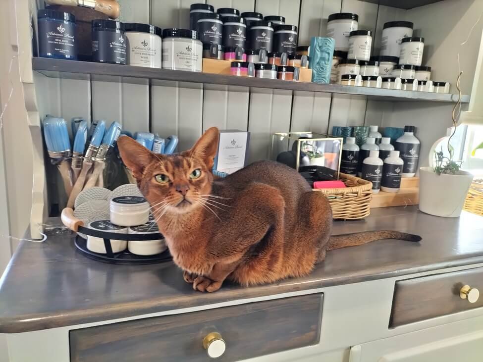Your Western Sydney Stockist for Artisan paint company Paint, Sealers and brushes.